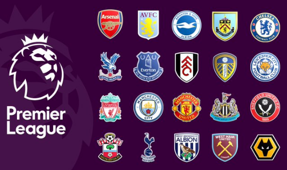 球迷的支持 球迷的支持